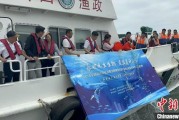 梦见游泳浙江今年计划放流种类海洋水生生物苗种超15亿单位