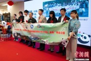 梦见游泳中国彩绘熊猫艺术国际巡展东京站开幕