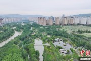 梦见游泳西宁市举办六五环境日主题宣传活动